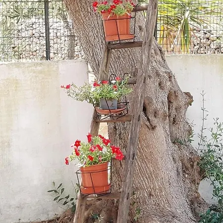 בית נופש Tenuta Palummaru
